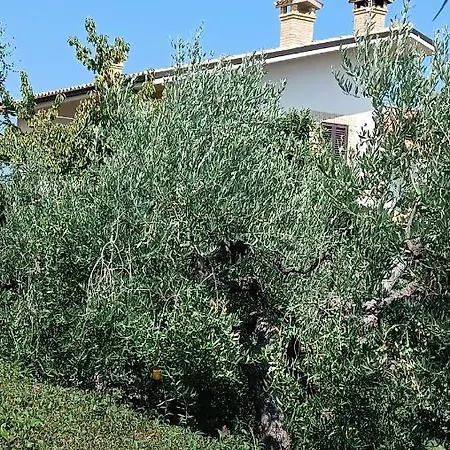 Apartament Le Luci Al Primo Piano Interno 1