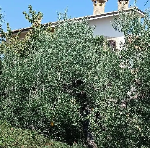 Appartement Le Luci Al Primo Piano Interno 1
